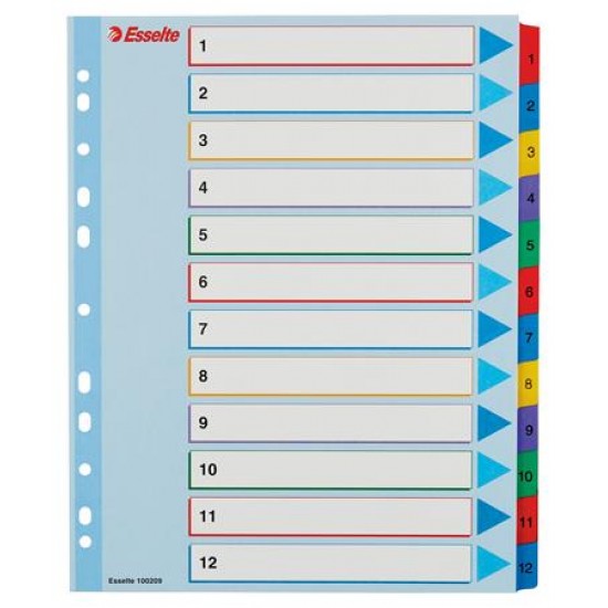 Regiszter, laminált karton, A4 Maxi, 1-12, újraírható, ESSELTE